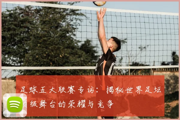 足球五大联赛专访:揭秘世界足坛顶级舞台的荣耀与竞争
